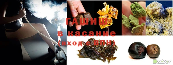 шишки Белокуриха