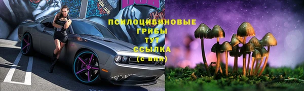 шишки Белокуриха