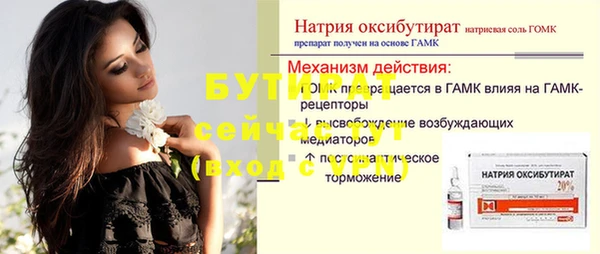 шишки Белокуриха