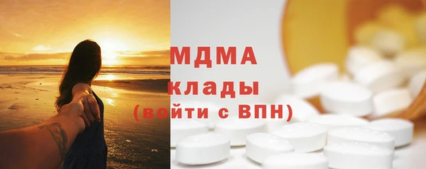 шишки Белокуриха