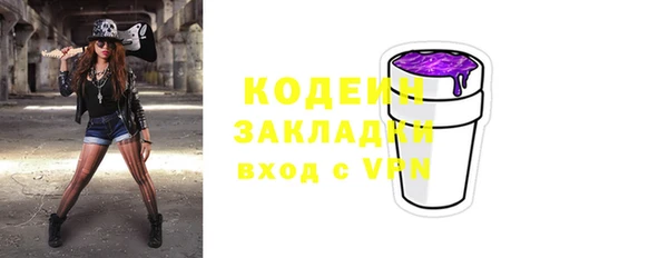 шишки Белокуриха