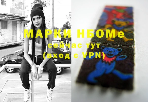 шишки Белокуриха