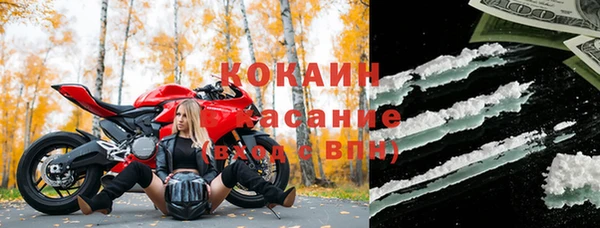шишки Белокуриха