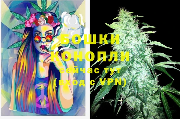 шишки Белокуриха