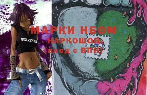 шишки Белокуриха