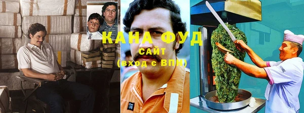 шишки Белокуриха