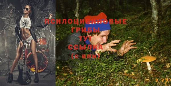 шишки Белокуриха