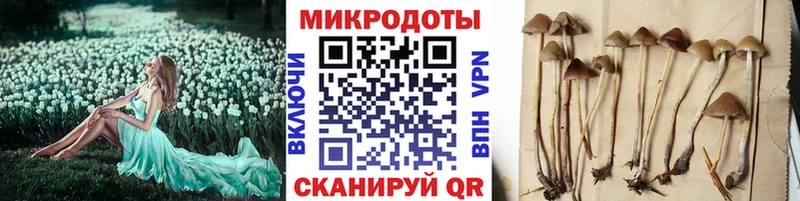 Галлюциногенные грибы MAGIC MUSHROOMS  дарнет шоп  Верхотурье 